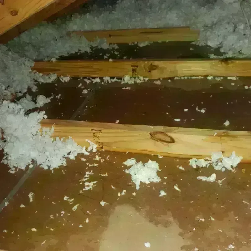 Attic Water Damage in Pamplico, SC