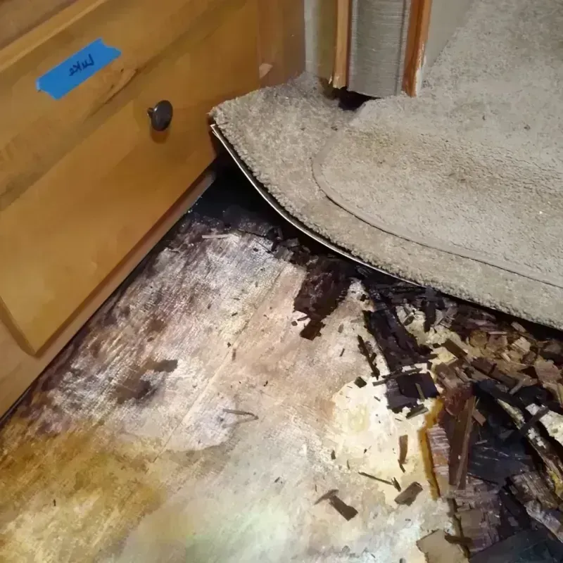 Wood Floor Water Damage in Pamplico, SC